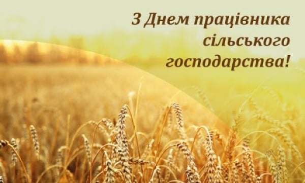 article-image
